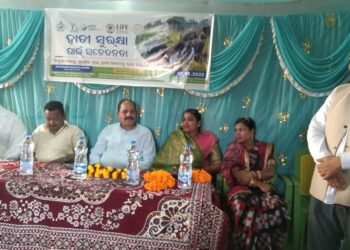 ବିବେକାନନ୍ଦ ଶିକ୍ଷାକେନ୍ଦ୍ରରେ ହାତୀ ସୁରକ୍ଷା ସଚେତନତା