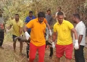 ପରିତ୍ୟକ୍ତ ନାଳରୁ ଯୁବକର ମୃତ ଦେହ ଉଦ୍ଧାର, ପୋଲିସ ଓ ସାଇଣ୍ଟିଫିକ ଟିମର ତଦନ୍ତ ଆରମ୍ଭ