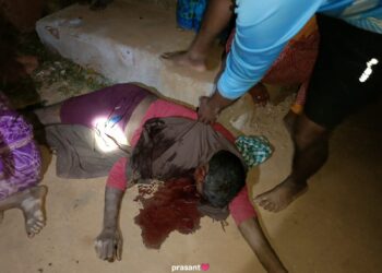 କୋଠଘର ନିକଟରେ ବସିଥିବା ବେଳେ ହାତୀ ଝିଙ୍କିନେଇ ଚକଟି ଦେଲା