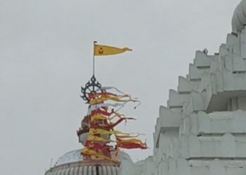 ଶ୍ରୀମନ୍ଦିର ନୀଳଚକ୍ର ଉପରେ ପୁଣି ବସିଲା ଚିଲ, ଶୁଭ କି ଅଶୁଭ ନେଇ ନାନା ଚର୍ଚ୍ଚା