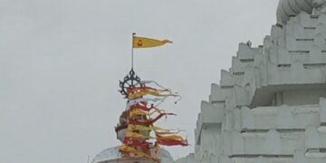 ଶ୍ରୀମନ୍ଦିର ନୀଳଚକ୍ର ଉପରେ ପୁଣି ବସିଲା ଚିଲ, ଶୁଭ କି ଅଶୁଭ ନେଇ ନାନା ଚର୍ଚ୍ଚା