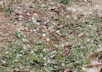 ଘଡଘଡି , ବିଜୁଳି ସାଙ୍ଗକୁ କୁଆପଥର ବର୍ଷା