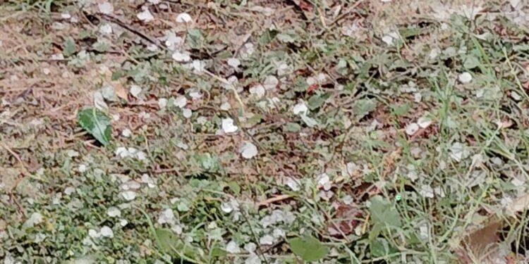 ଘଡଘଡି , ବିଜୁଳି ସାଙ୍ଗକୁ କୁଆପଥର ବର୍ଷା