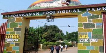 ନନ୍ଦନକାନନ ଆସିବେ ନୂଆ ଅତିଥି, ୩ ପ୍ରଜାତିର ୧୮ ଜୀବଜନ୍ତୁ ଆସିବେ