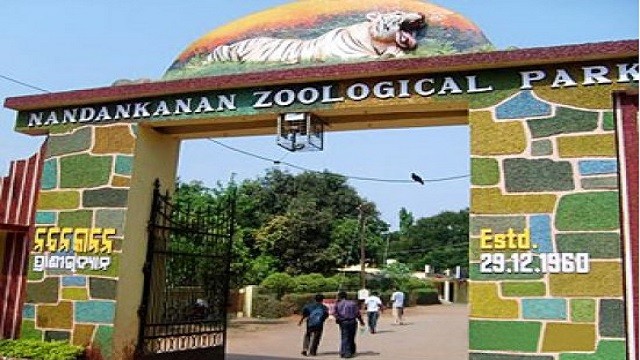 ନନ୍ଦନକାନନ ଆସିବେ ନୂଆ ଅତିଥି, ୩ ପ୍ରଜାତିର ୧୮ ଜୀବଜନ୍ତୁ ଆସିବେ