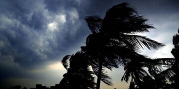 ମୟୁରଭଞ୍ଜରେ କାଳ ବୈଶାଖୀର ତାଣ୍ଡବ, ଉପୁଡିଲା ଗଛ ଓ ଭାଙ୍ଗିଲା ବିଦ୍ୟୁତ ଖୁଣ୍ଟ