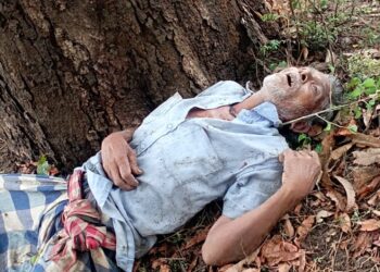 ବଜ୍ରପାତର କହର: ଛେଳି ଚରାଉଥିବା ବେଳେ ବୃଦ୍ଧଙ୍କ ମୃତ୍ୟୁ, ସରକାରୀ ସହାୟତା ପାଇଁ ଦାବି