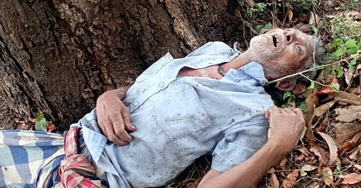 ବଜ୍ରପାତର କହର: ଛେଳି ଚରାଉଥିବା ବେଳେ ବୃଦ୍ଧଙ୍କ ମୃତ୍ୟୁ, ସରକାରୀ ସହାୟତା ପାଇଁ ଦାବି