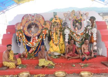 ଦୁର୍ଲଭ ଗଜାନନ ବେଶରେ ଦର୍ଶନ ଦେଲେ ମହାବାହୁ