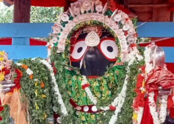 ବଡ ଏକାଦଶୀରେ ଦ୍ୱୀତିୟ ଶ୍ରୀକ୍ଷେତ୍ରରେ ଲକ୍ଷାଧିକ ଭକ୍ତ: ରୂପା ବେଶରେ ସଜେଇ ହେଲେ ତିନି ଠାକୁର, ଶ୍ରୀଜିଉଙ୍କ ଦର୍ଶନ ପାଇ ପ୍ରବଳ ଭିଡ