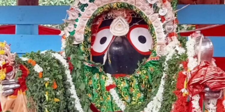 ବଡ ଏକାଦଶୀରେ ଦ୍ୱୀତିୟ ଶ୍ରୀକ୍ଷେତ୍ରରେ ଲକ୍ଷାଧିକ ଭକ୍ତ: ରୂପା ବେଶରେ ସଜେଇ ହେଲେ ତିନି ଠାକୁର, ଶ୍ରୀଜିଉଙ୍କ ଦର୍ଶନ ପାଇ ପ୍ରବଳ ଭିଡ