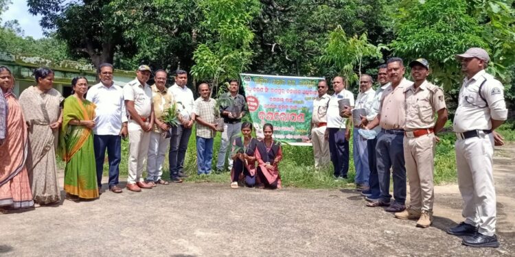 ପରିବେଶ ସୁରକ୍ଷା ପାଇଁ ସମ୍ବାଦ ସାହିତ୍ୟ ଘରର ଅଭିନବ ପଦକ୍ଷେପ : ରଣପୁରରେ ଶତାଧିକ ବୃକ୍ଷରୋପଣ