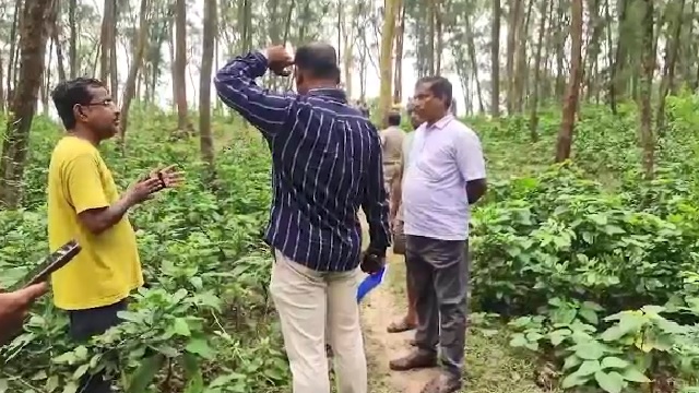 ଓରାଙ୍ଗଉଟାନ ମିଳିବା ଘଟଣାରେ ଜୋରଦାର ତଦନ୍ତ, ରହସ୍ୟ ଖୋଲିବାକୁ STFର ୨ ଟି ଟିମ୍ ଗଠନ